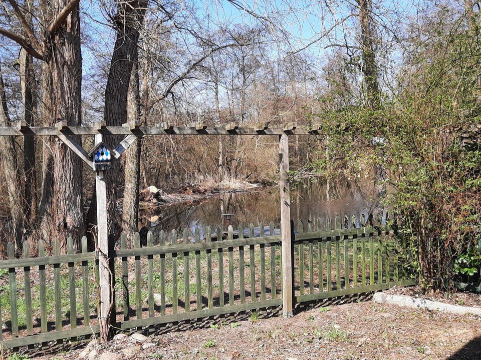 Am Ende der Straße steht ein Haus am Fluss! – Bild 12