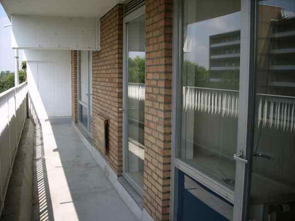 Kapitalanlage in verkehrsgünstiger Lage – Bild 2