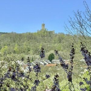 Split-Level-Haus mit unverbaubarem 180° Blick auf die Königsteiner Burg