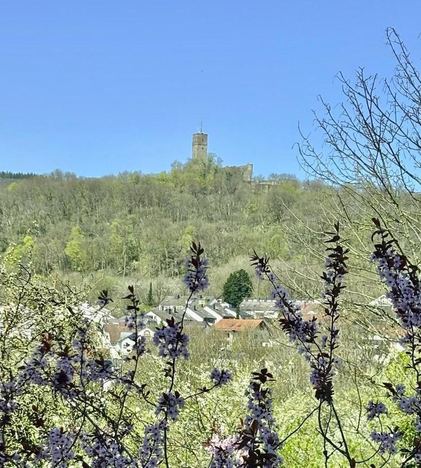 Split-Level-Haus mit unverbaubarem 180° Blick auf die Königsteiner Burg