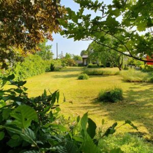 Wohnen direkt am Wald