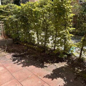 Zimmer in Wohngemeinschaft München Laim, S-Bahn Nähe, eigener Minigarten Süd-West