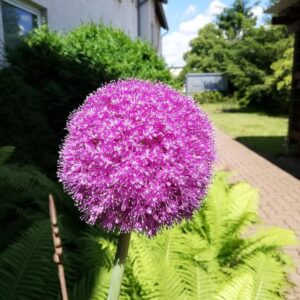 Büro/ Praxisetage in bester Lage in Wolfenbüttel mit Parkplätzen