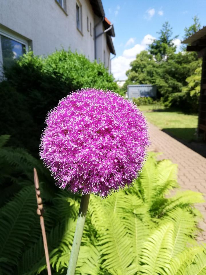Büro/ Praxisetage in bester Lage in Wolfenbüttel mit Parkplätzen