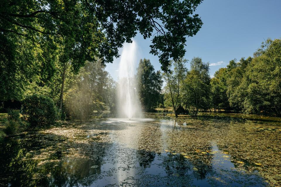 Luxus-Anwesen in der Lüneburger Heide – Bild 13