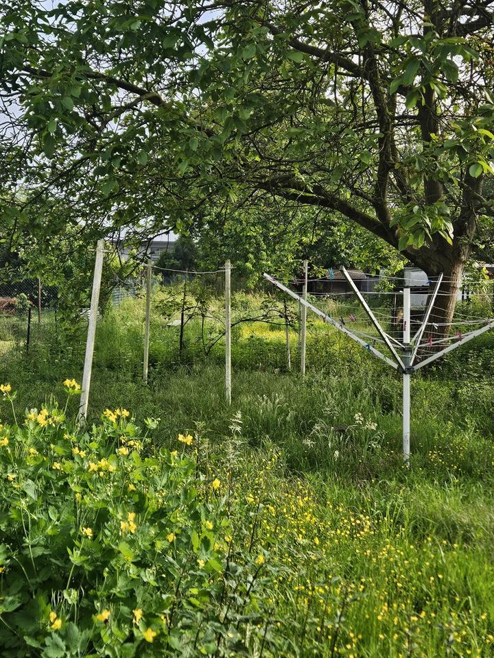 Mehrfamilienhaus mit 6 (5 Leerstehende) Wohnungen Provisionsfrei – Bild 30