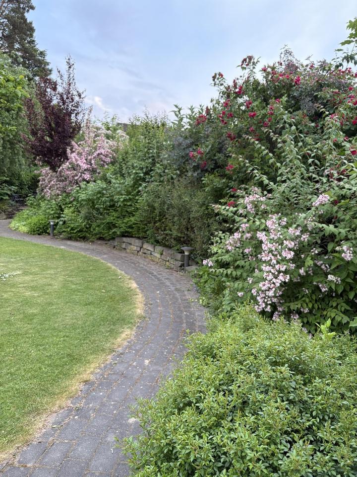 Super energieeffiziente DHH A+ in Toplage mit Traumgarten – Bild 16