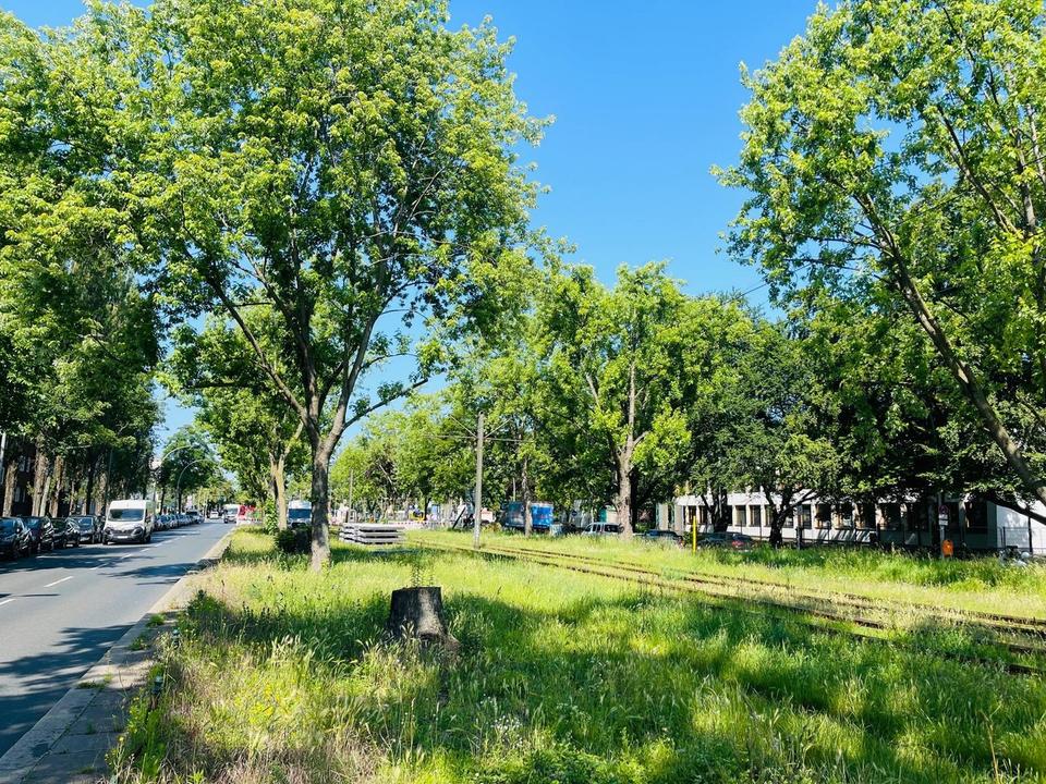 Über den Dächern von Berlin – Großstadtblick 5 Zi, Ost & West Blick – Bild 3