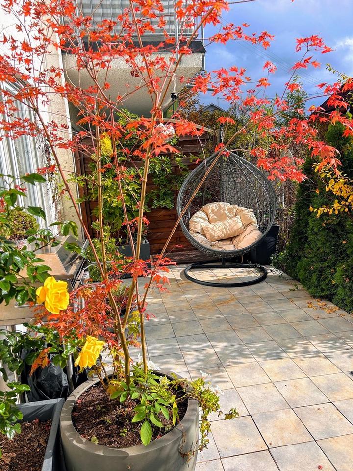 3-Zimmer-Gartenwohnung mit Südterrasse & Wärmepumpe – Wohnen wie im eigenen Haus – Bild 13