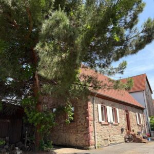 Charme & Gemütlichkeit! Historisches 1-3-Familienhaus in liebevolle Hände abzugeben