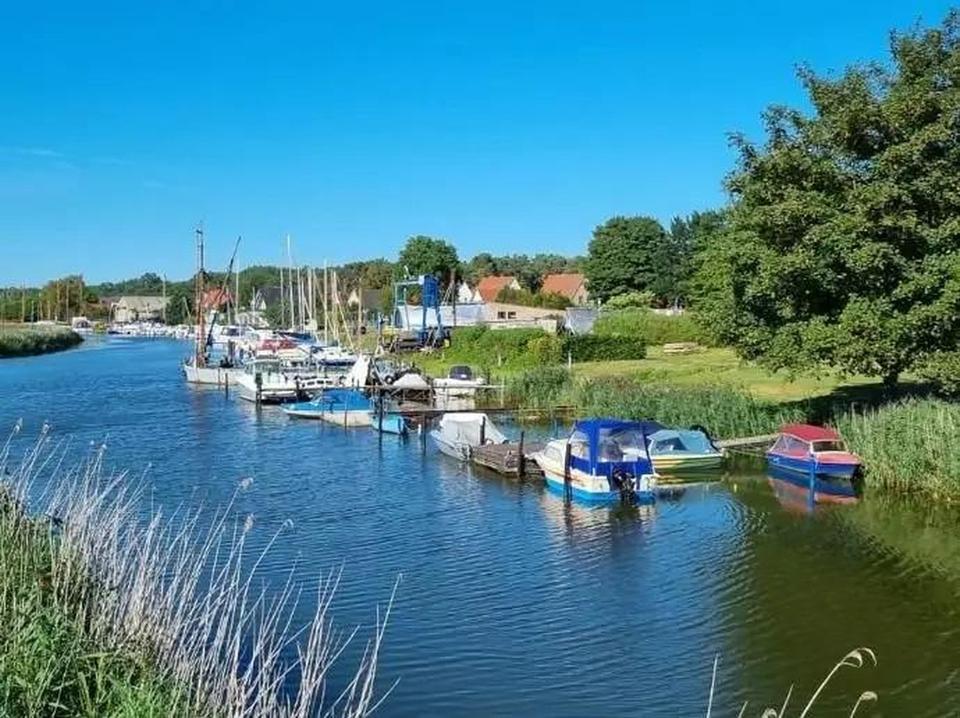 Moderne Wohnungen in Stadtvilla *Zingst* Barth – Bild 23