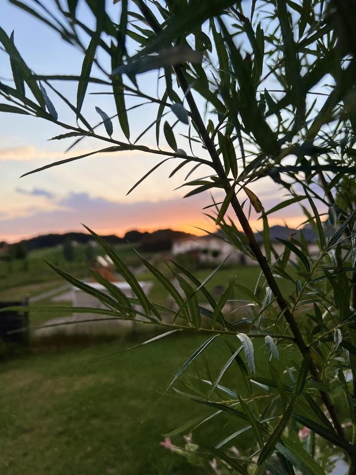 *RESERVIERT* Modernes Einfamilienhaus in attraktiver Neubausiedlung – Bild 23