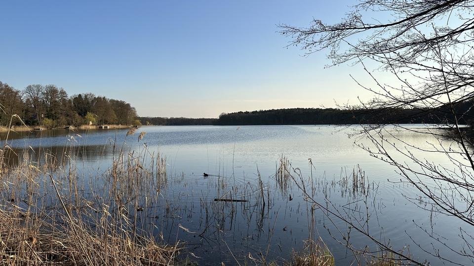 Penthouse im Schloss Siethen – Exklusives Wohnen mit Dachterrasse & Abendsonne – Bild 29