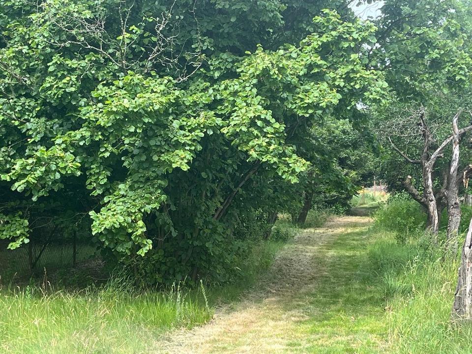 Baugenehmigung vorhanden – Bild 4