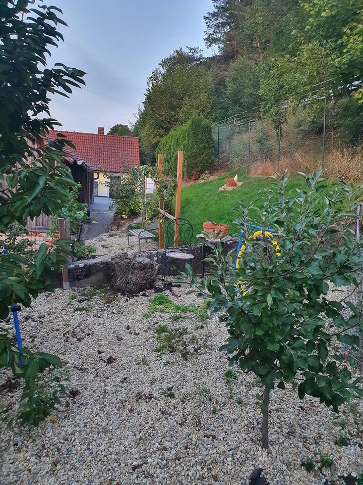 Wohnglück am Schambachufer - Ihr Naturnahes Refugium zwischen Ingolstadt und Riedenburg. – Bild 22
