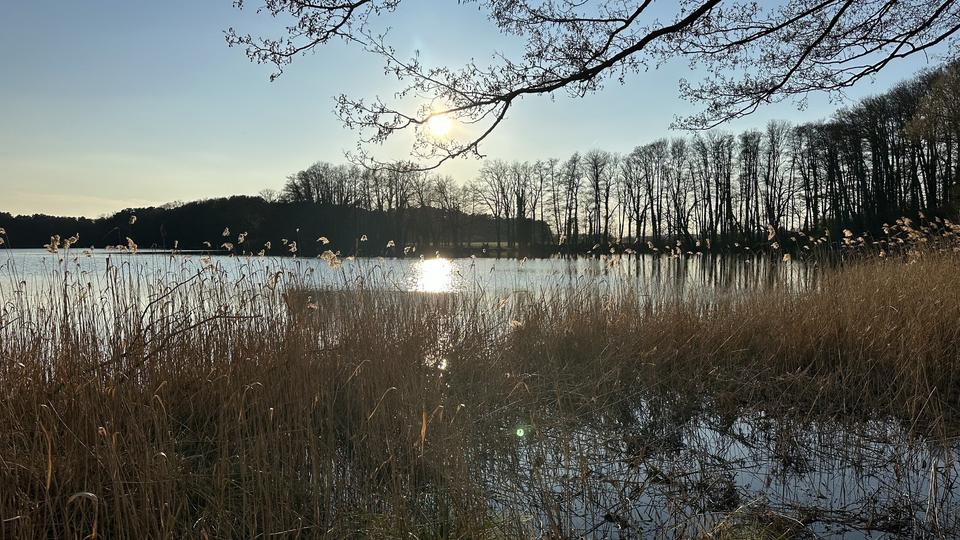 Penthouse im Schloss Siethen – Exklusives Wohnen mit Dachterrasse & Abendsonne – Bild 3