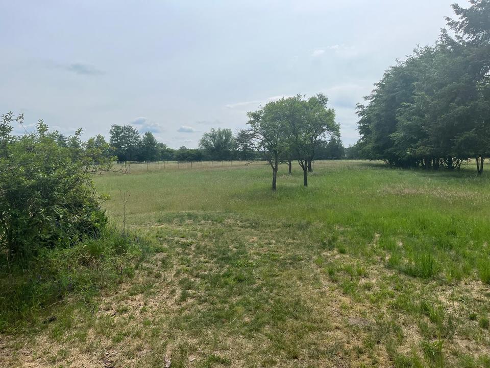 Baugenehmigung vorhanden – Bild 5