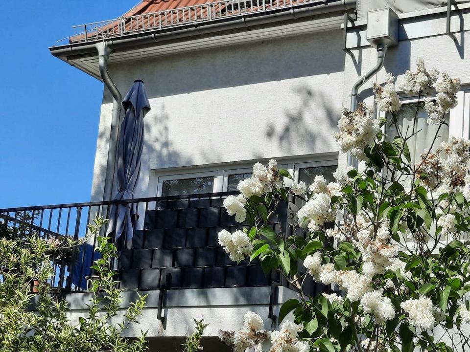 Helle Wohnung in Berlin-Heiligensee – Bild 9