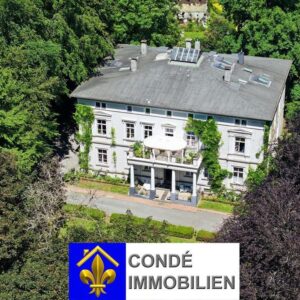 Villa im klassizistischen Stil mit großer Parkanlage zu verkaufen. Mehrfamilienhaus, Villa im Park