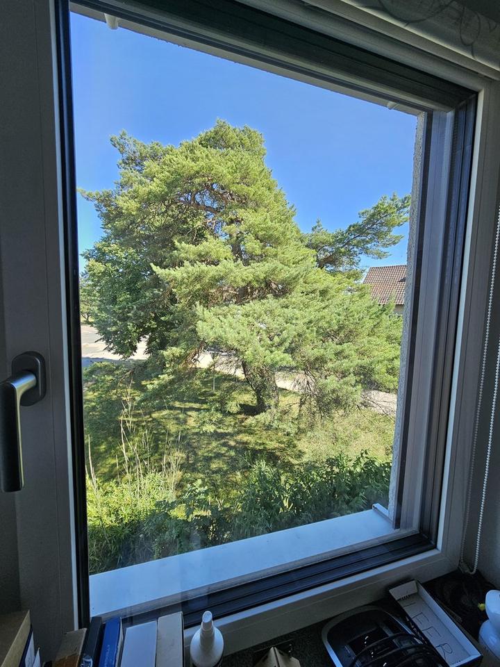 Moderne Luxus Traumwohnung in ruhiger Lage – 210 m² Wfl mit 7 Zimmern, zwei Bädern + 300m2 Garten – Bild 19