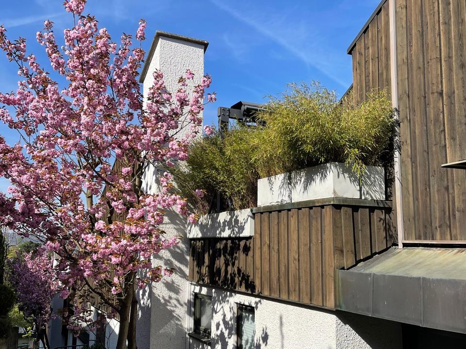 Über den Dächern von Leonberg Exklusive Penthouse-Maisonette mit Panoramablick & Whirlpool – Bild 20