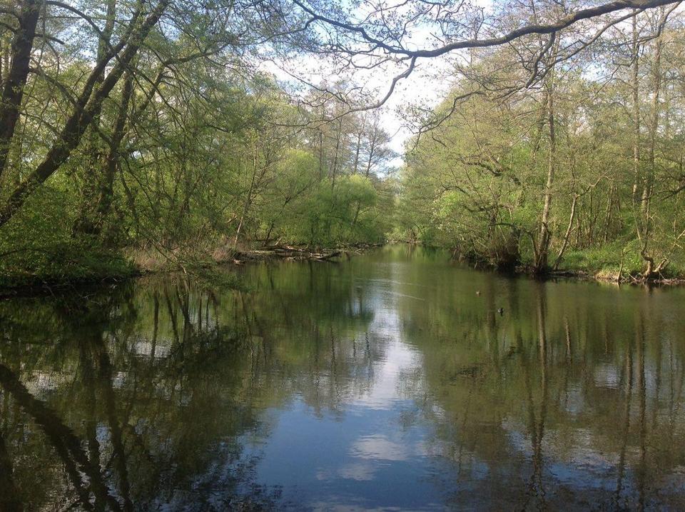 Am Ende der Straße steht ein Haus am Fluss! – Bild 5