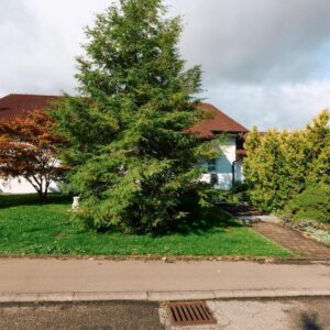 Ruhige 2 Zi-Wohnung mit 60 qm OG Sulz a.N.