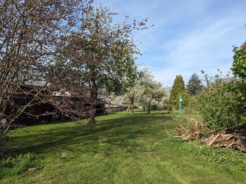 Charmantes Bruchsteinhaus mit Wärmepumpe & Ausbaupotenzial - 3.237 m² Naturgrundstück am Waldrand – Bild 16