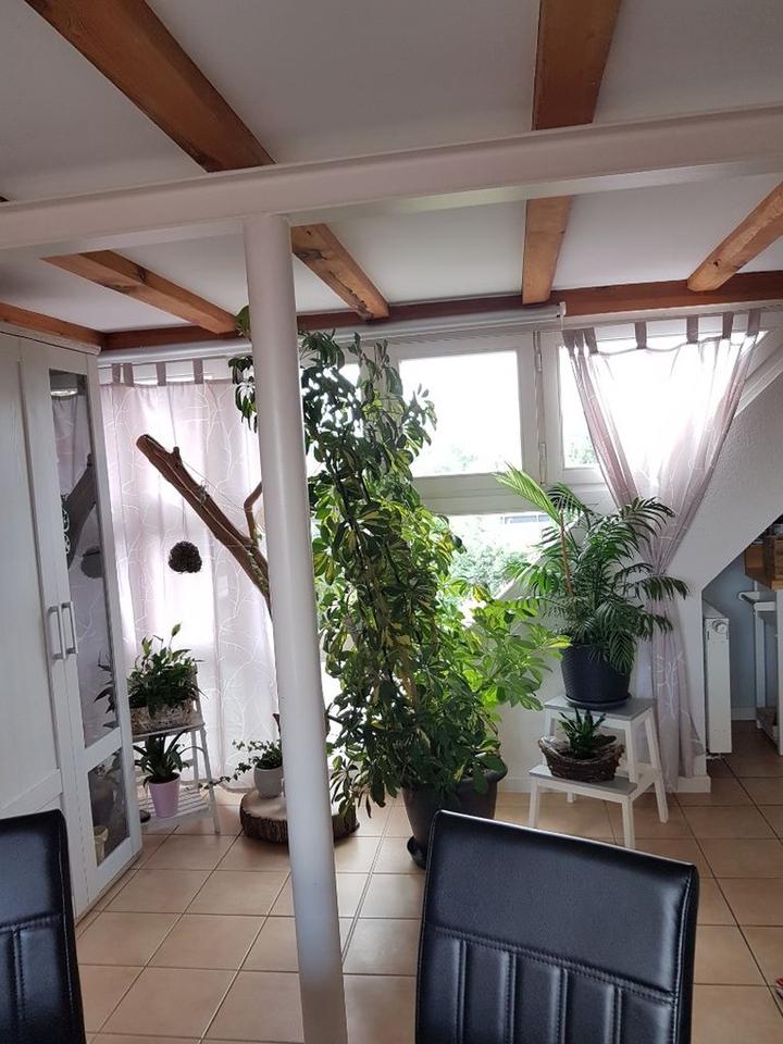 W12: Storch & Seeblick / Erdwärme & PV & Solarthermie – Bild 38