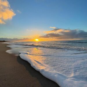 Wohlfühloase unter Reet am Meer