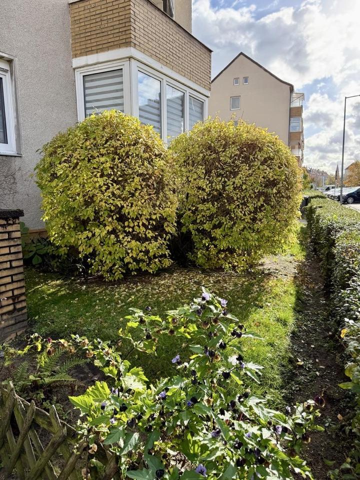 Schöne ruhig gelegene 1-Zimmer City Wohnung mit Balkon - Hannover List – Bild 2