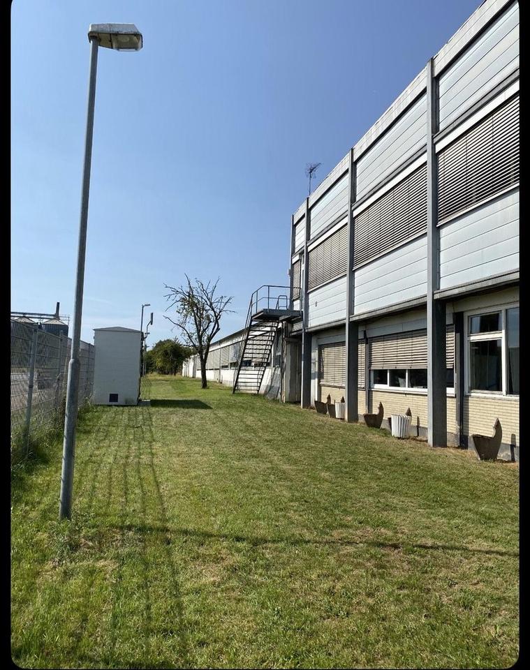 638 qm bezugsfertige Büro-/Seminar-/Konferenzfläche optional + 750 m² Gewerbehalle – Bild 5