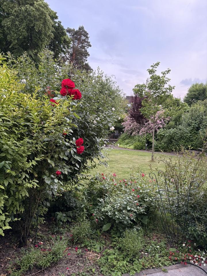 Super energieeffiziente DHH A+ in Toplage mit Traumgarten – Bild 18