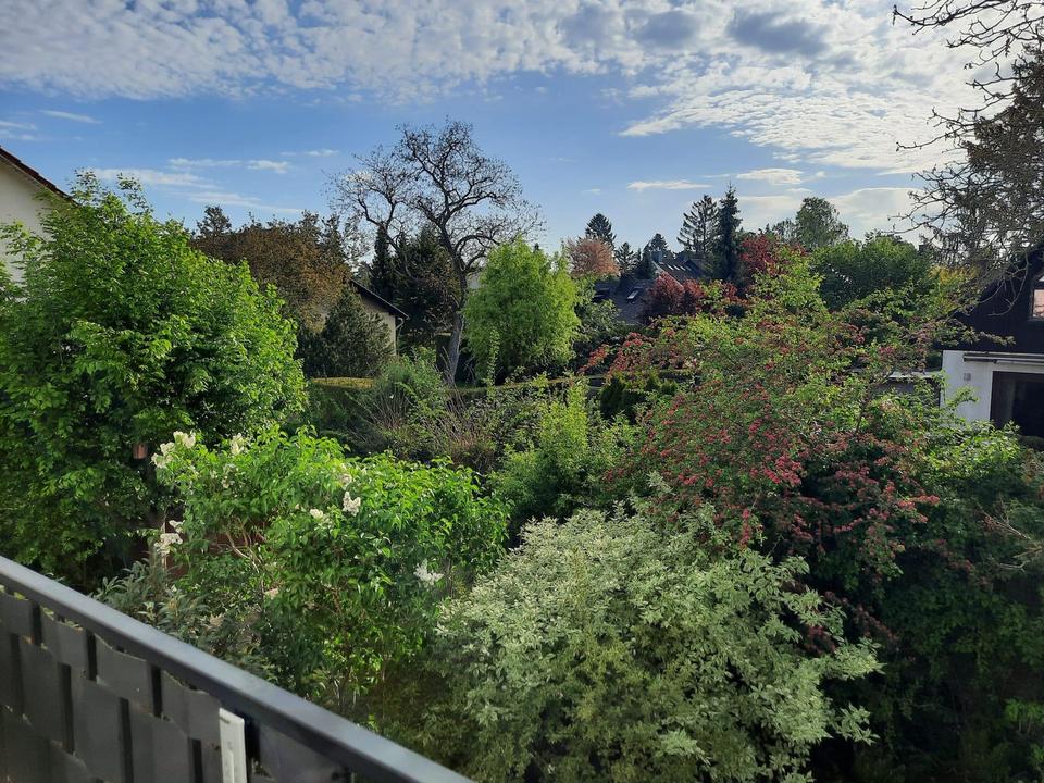 Helle Wohnung in Berlin-Heiligensee – Bild 8