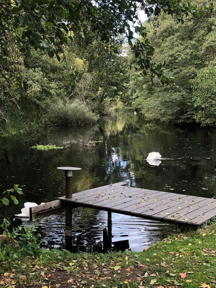 Am Ende der Straße steht ein Haus am Fluss! – Bild 8