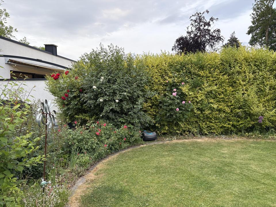 Super energieeffiziente DHH A+ in Toplage mit Traumgarten – Bild 21