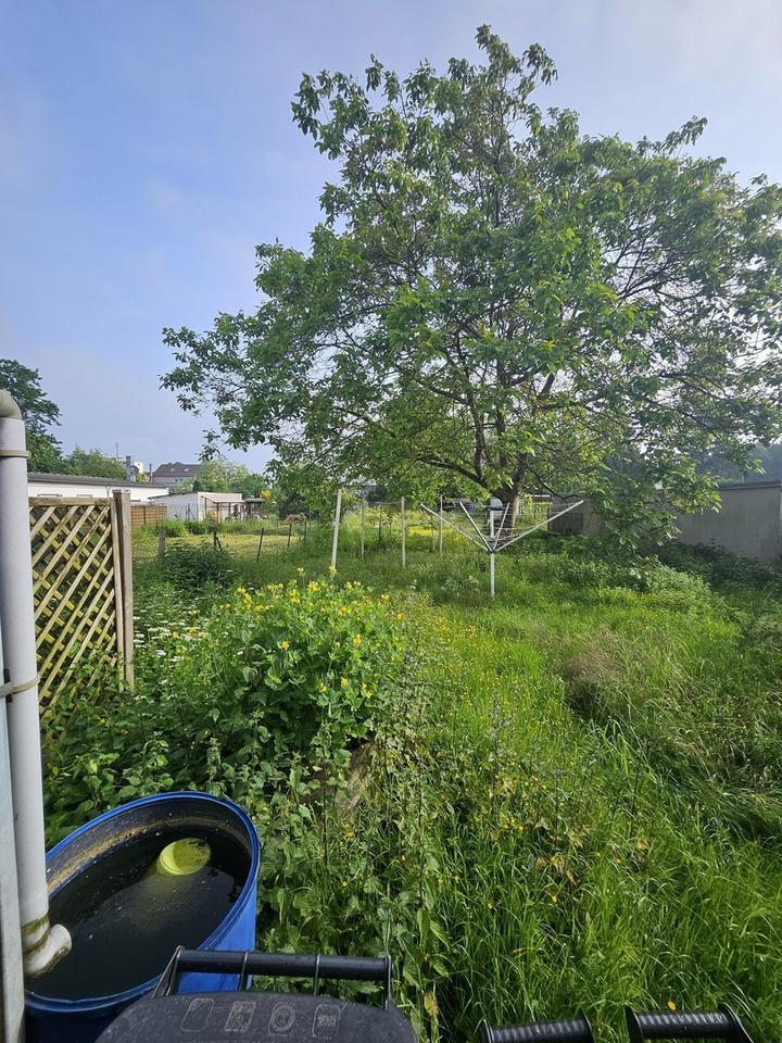 Mehrfamilienhaus mit 6 (5 Leerstehende) Wohnungen Provisionsfrei – Bild 4