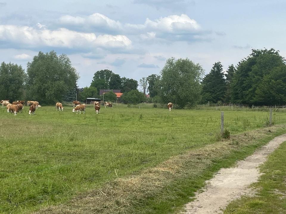 Baugenehmigung vorhanden – Bild 3