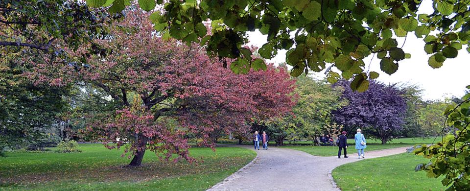 149 qm helle Wohnung mit 2 Eingängen l gut für WG oder zur Untervermietung !