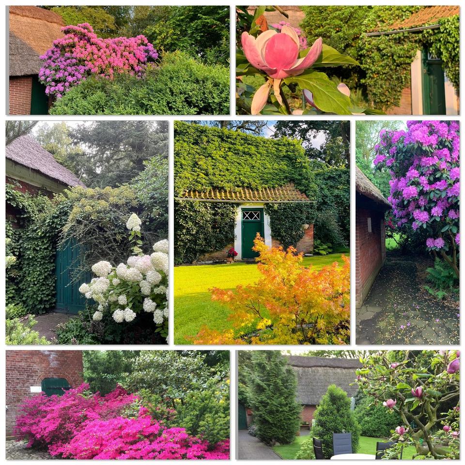 Großzügiges Anwesen unter Reet mit großem parkähnlichem Grundstück - vielseitig nutzbar. – Bild 9