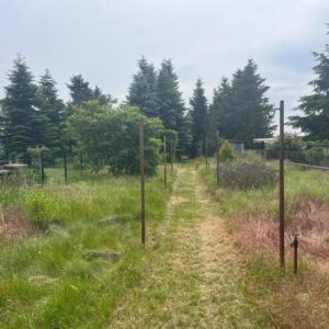 Baugenehmigung vorhanden