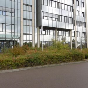 Der Preis-Leistungs-Sieger im Sachsen Park; Top-Büro 8,59€/m²kalt