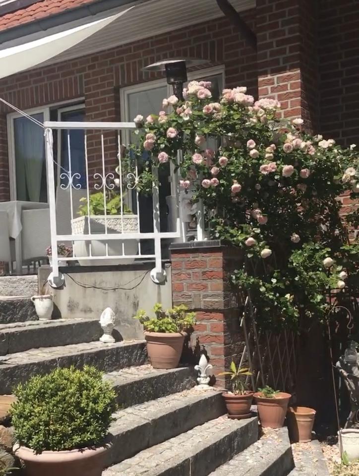 Architektenhaus in wunderbarer Lage in Ratzeburg – Bild 10