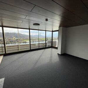 4er WG-Zimmer, Waldshut-Ti., Rheinblick, Innenstadt - TOP 560 € (Flat inkl. NK) je Zi