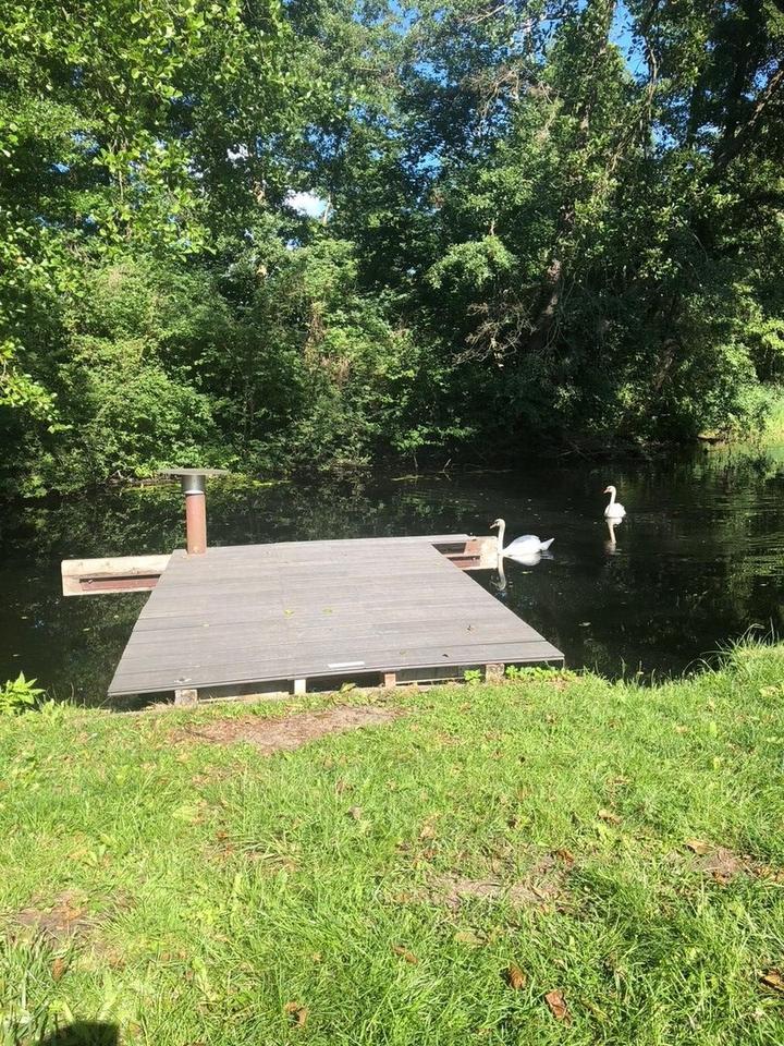 Am Ende der Straße steht ein Haus am Fluss! – Bild 2