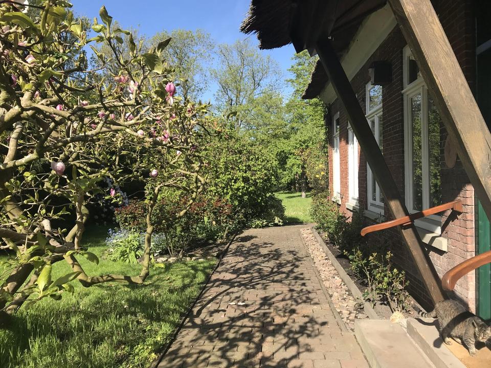 Großzügiges Anwesen unter Reet mit großem parkähnlichem Grundstück - vielseitig nutzbar.