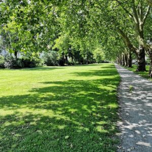 ***1 Zimmer Apartment in Bielefeld Heepen***