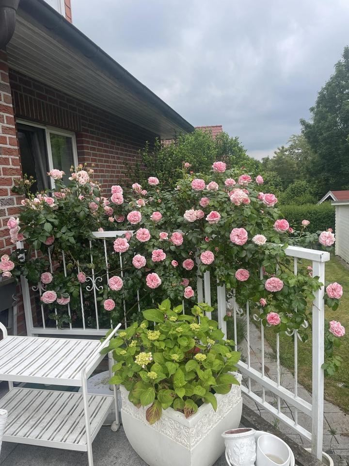 Architektenhaus in wunderbarer Lage in Ratzeburg – Bild 9