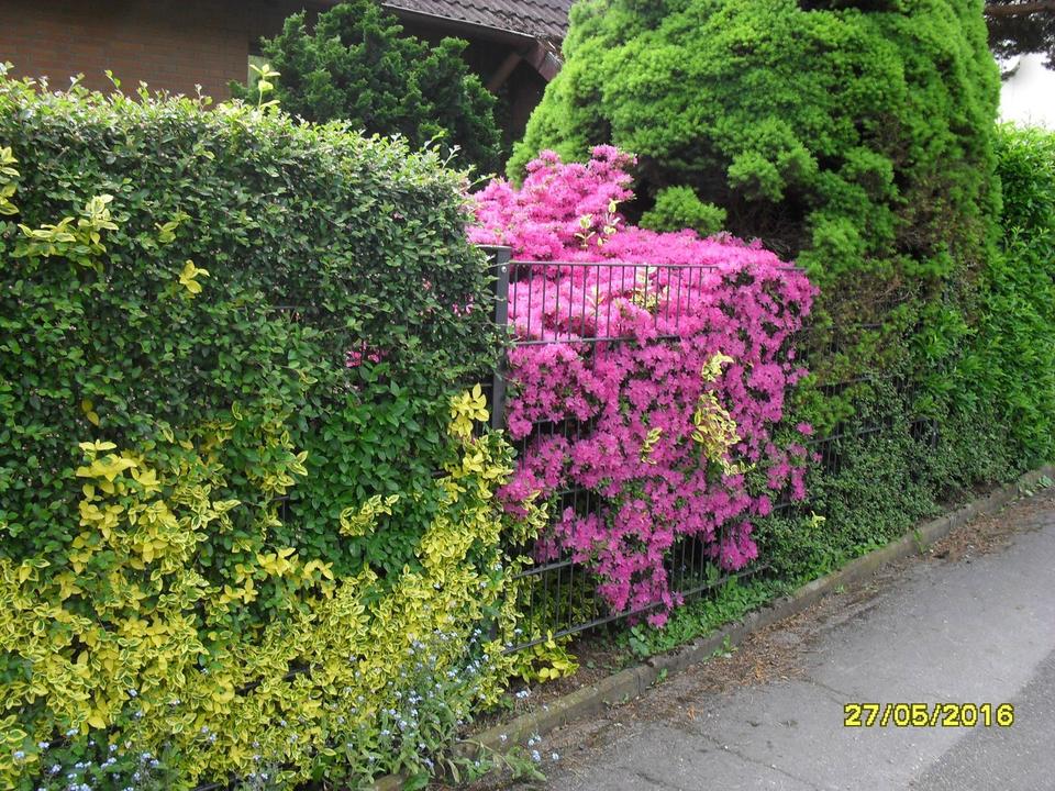 Großes Wohnhaus mit Potential der Umgestaltung - bis zu 3 Whg. - möglich. – Bild 40