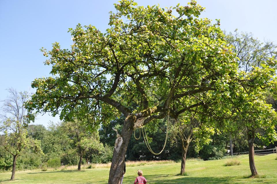 Charmantes Bruchsteinhaus mit Wärmepumpe & Ausbaupotenzial - 3.237 m² Naturgrundstück am Waldrand – Bild 4